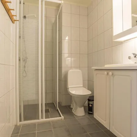 公寓 Skitorget 特吕西尔